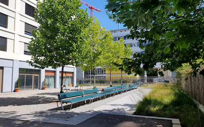 Rückhalt und Versickerung von Regenwasser in bepflanzten Gräben ...