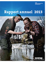 Rapport annuel 2013