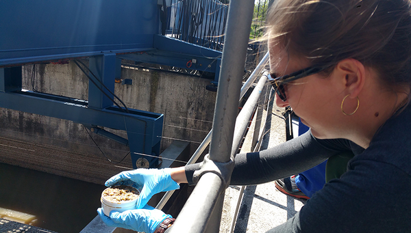L’étudiante en master Lara Cayo prélève des échantillons de boue à la station de Werdhölzli. (Photo: Elke Suess, Eawag)