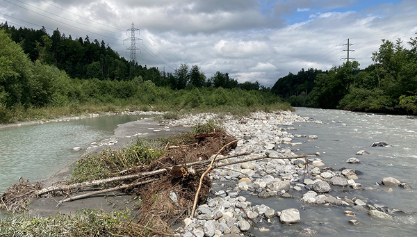 The availability of refugia for aquatic organisms during a flood in a dynamic river widening, such as the one shown at the Kander River, depends strongly on the bedload regime. (Photo: VAW, ETH Zurich)