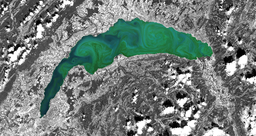 This satellite image of Lake Geneva detects the spread and gradients of a chrysophyte algal bloom (Uroglena spp.). The satellites record the visible water components, which are validated with reference measurements from automatically measuring sensors in Lake Geneva. (Sentinel-2 data from ESA)