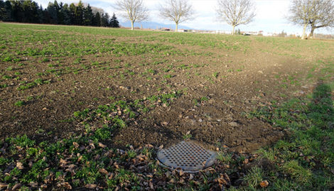 Photo: Eawag, Urs Schönenberger