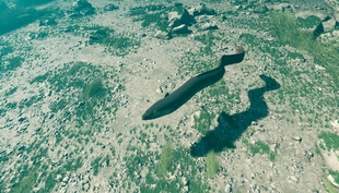 Follow an eel in the Rhine Falls basin, or a salmon thanks to 3D virtual reality (Photo: timescope, computer-generated from the fishoscope).