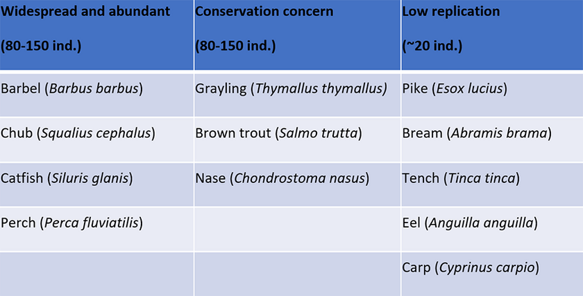 Table 1