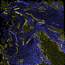 Image analysis of microscopic images can be used to investigate how two different bacteria strains (yellow and blue) interact with each another. Light-coloured bacteria grow faster, because they receive amino acids form the other strain and for this reason grow faster.