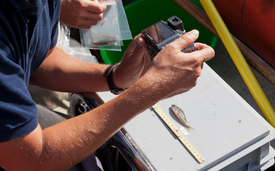 Keiner zu klein für das grosse Inventar: Jeder Fisch aus den systematischen Befischungen wurde vermessen, gewogen und fotografiert. (Foto: Eawag, Stefan Kubli)  