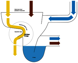 Animated urine trap diagram 
