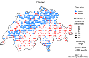 Occurrence of the beetle family Elmidae in Switzerland in the biodiversity monitoring data and in the model. Large blue dots and small red dots indicate an agreement between observation and model.