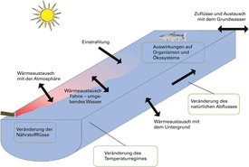 Wichtige temperaturabhängige Prozesse in einem Fluss und mögliche Folgen ihrer Beeinflussung durch eine thermische Einleitung. 