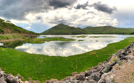 Water hyacinths accumulate in a reservoir of the Zambian hydropower plant "Kafue Gorge Power Station”. (Photo: RS Winton)