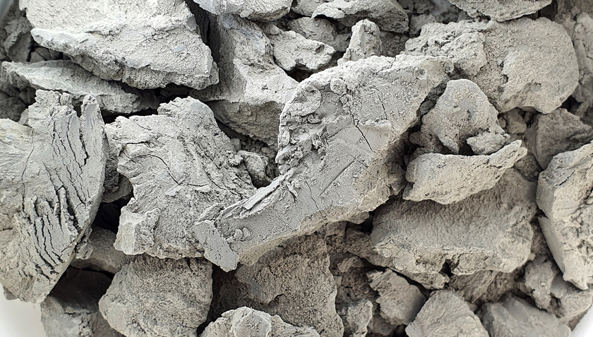 Fine sediments deposited in the prehistoric Lake Greifen (Photo: Yama Tomonaga, Eawag, University of Basel).