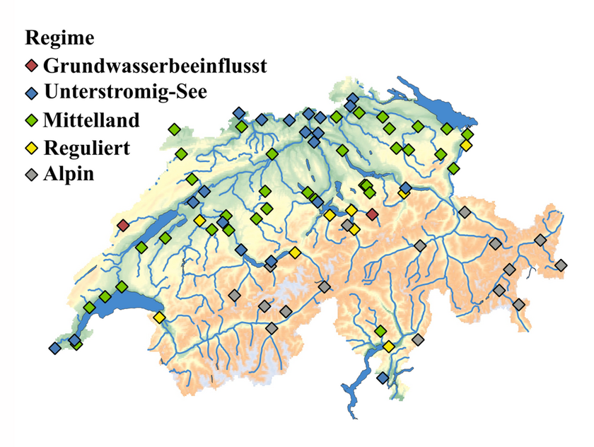 Einteilung der untersuchten Abflussmessstationen in fünf verschiedene Typen: vom Grundwasser beeinflusste Flüsse («Grundwasserbeeinflusst»), Flüsse im Abstrom von Seen («Unterstromig-See»), Flüsse des Mittellandes («Mittelland»), Flüsse unterhalb von Stauseen, in die periodisch grosse Wassermengen aus dem Stausee gelangen («Reguliert») und alpine Flüsse («Alpin»). (Grafik: Vinnå et al. 2025) Einteilung der untersuchten Abflussmessstationen in fünf verschiedene Typen: vom Grundwasser beeinflusste Flüsse («Grundwasserbeeinflusst»), Flüsse im Abstrom von Seen («Unterstromig-See»), Flüsse des Mittellandes («Mittelland»), Flüsse unterhalb von Stauseen, in die periodisch grosse Wassermengen aus dem Stausee gelangen («Reguliert») und alpine Flüsse («Alpin»). (Grafik: Vinnå et al. 2025)