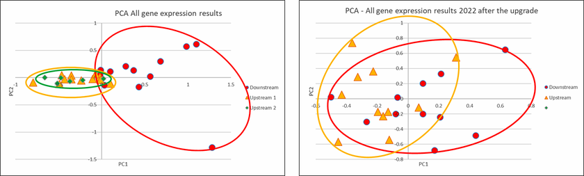 Cellular responses in fish before (left 2020) and after (right 2022) the upgrade of the Oberglatt WWTP. While in 2020 there was still a clear difference between the samples above and below the return of treated wastewater, this is no longer present in 2022 after the upgrade. (Graphic: Eawag)