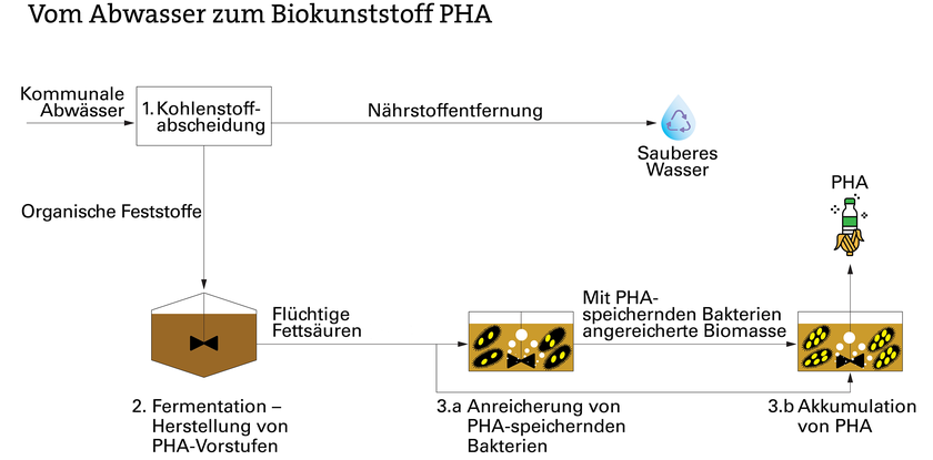 Vom Abwasser zum Biokunststoff PHA (Grafik: Eawag)