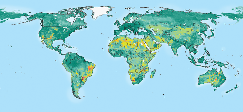 Als Zusatz in Zahnpasta schützt es unsere Zähne vor Karies, im Grund- und Trinkwasser sind zu hohe Konzentrationen jedoch Grund zur Sorge: Fluorid gehört weltweit zu den häufigsten geogenen Schadstoffen. Weite Teile Afrikas weisen dem Eawag-Modell zufolge mit erhöhter Wahrscheinlichkeit gesundheitsbelastende Mengen von Fluorid im Grundwasser auf. Ebenfalls stark betroffen sind der Mittlere Osten, Zentralasien, China, Indien und der Osten Brasiliens. Einige Hotspots finden sich ausserdem im Südwesten der USA und in Australien – dort sind allerdings kaum Menschen gefährdet, weil sie kein unbehandeltes Grundwasser trinken. Ganz anders in Afrika und Asien, wo viele Menschen fluoridbelastetes Grundwasser zu sich nehmen müssen. Gemäss den Modellrechnungen dürften 180 Millionen Menschen weltweit betroffen sein. (Karte: Joel Podgorski, Michael Berg (2022) Global analysis and prediction of fluoride in groundwater. Nature Communications, 13, 4232).