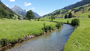 Les échantillons d'ADN de l'environnement de la Thur permettent de prédire la biodiversité (Photo : Eawag)