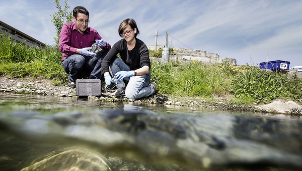 Florian Altermatt und Doktorandin Elvira Mächler nehmen Wasserproben im Chriesbach