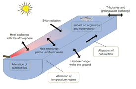 Key processes (unboxed) and possible consequences (boxed) of thermal discharge in rivers.