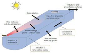 Key processes (unboxed) and possible consequences (boxed) of thermal discharge in rivers.