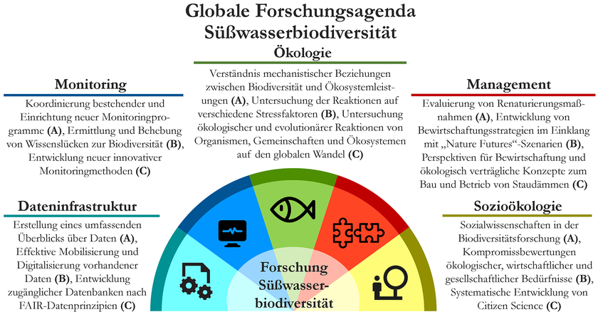 Die Autorinnen und Autoren der Agenda identifizierten 15 Prioritäten in fünf Bereichen, anhand derer die internationale Biodiversitätsforschung im Gewässerbereich zielgerichtet entwickelt werden sollte. (Grafik: aus Originalpublikation, Licence: CC-BY-NC 4.0)