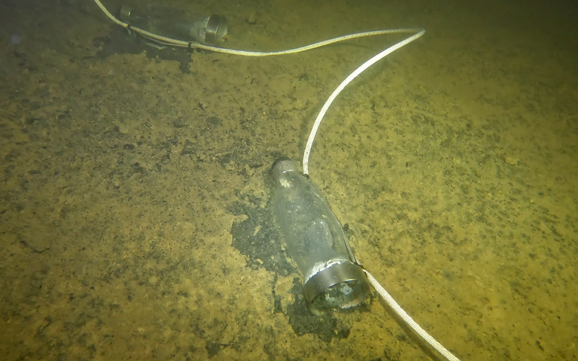Korrekt aufliegende Flohkrebsfallen auf dem Grund des Sees. Korrekt aufliegende Flohkrebsfallen auf dem Grund des Sees.