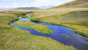 Wurde auch in die Studie einbezogen: Fluss in Ecuador. (Foto: Scott Tiegs)