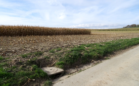 De telles bouches d'égout permettent à l'eau du champ et du chemin rural d'atteindre directement le cours d'eau le plus proche - un court-circuit hydraulique. (Photo : Eawag, Urs Schönenberger)