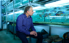 Prof. Ole Seehausen, pictured here with African cichlids. (Photo: Guido Pasquino)