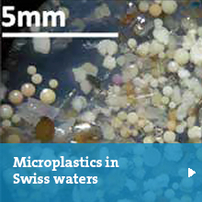 Microplastics in Swiss water