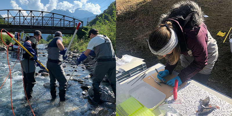Erfassen der aquatischen Biodiversität (Photo: Bárbara B. Calegari)