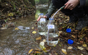 Collection of samples on the Eschelisbach (Thurgau)  (Photo: Eawag, Esther Michel)