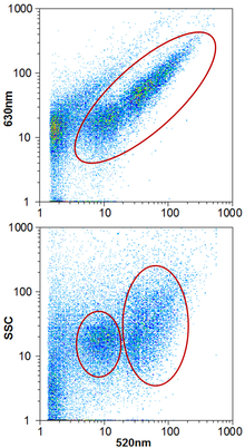 Typische Resultate der Durchflusszytometrie einer Wasserprobe.