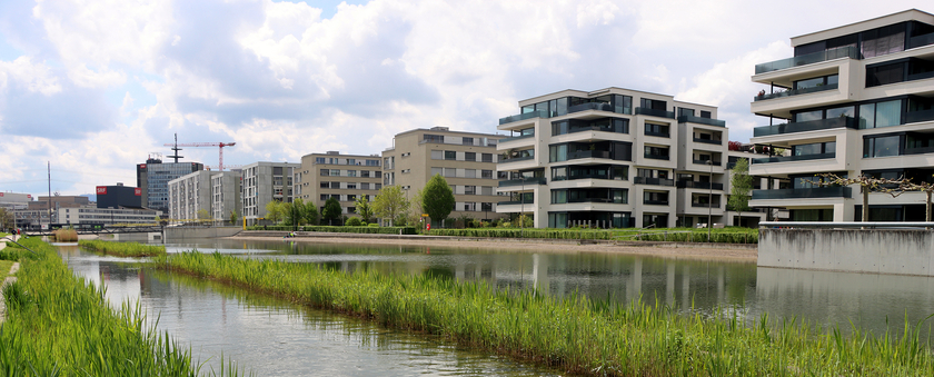 Alongside agricultural intensification, urbanisation is one of the biggest global drivers of land use change with an impact on biodiversity. This often leads to a major shift in species composition (Photo: Florian Altermatt, Eawag).