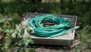 Auch in Garten- und Duschschläuchen fühlen sich Legionellen wohl (Foto: Unsplash).