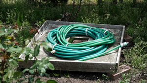 Legionella bacteria also thrive in garden hoses and shower hoses (Photo: Unsplash).