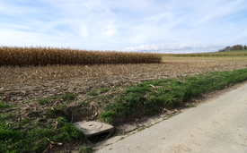 A hydraulic shortcut: water from the field and country lane is transported directly into the nearest body of water by inlet shafts such as this. (Photo: Urs Schönenberger, Eawag)