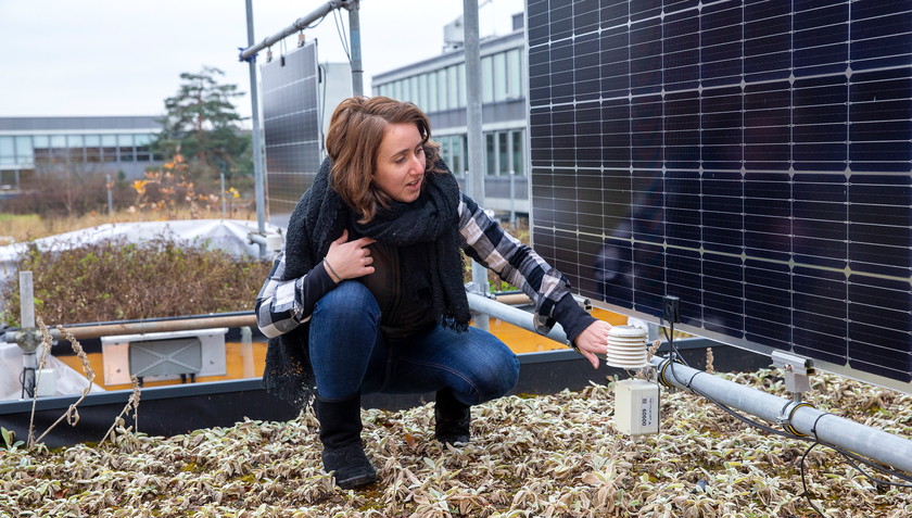 Eawag researcher Lauren Cook investigates potentials and limitations in the design of green roofs in combination with solar power generation (Photo: Eawag, Esther Michel).