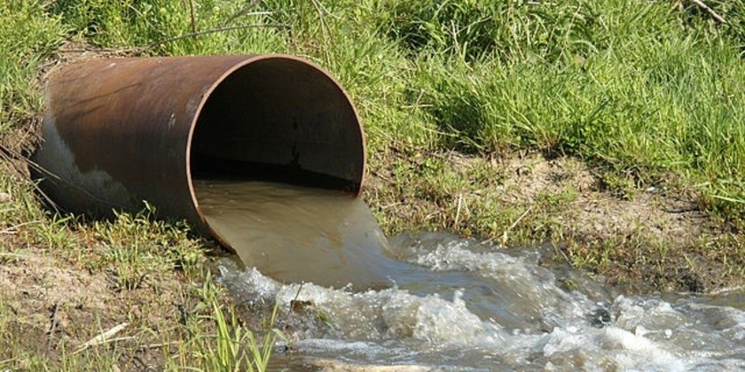 Bild: Wikimedia commons