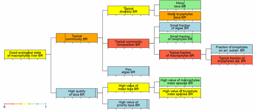 Hierarchy of objectives and assessment of objectives at all levels for the ecological assessment of the macrophyte community in a bryophyte river (BR) according to the Swiss surface water assessment concept.