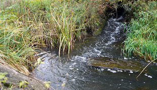 Defining and implementing policy measures to improve the condition of bodies of water are  challenging tasks. The two platforms help to close gaps in knowledge (Photo: Karin Stäheli, Eawag).