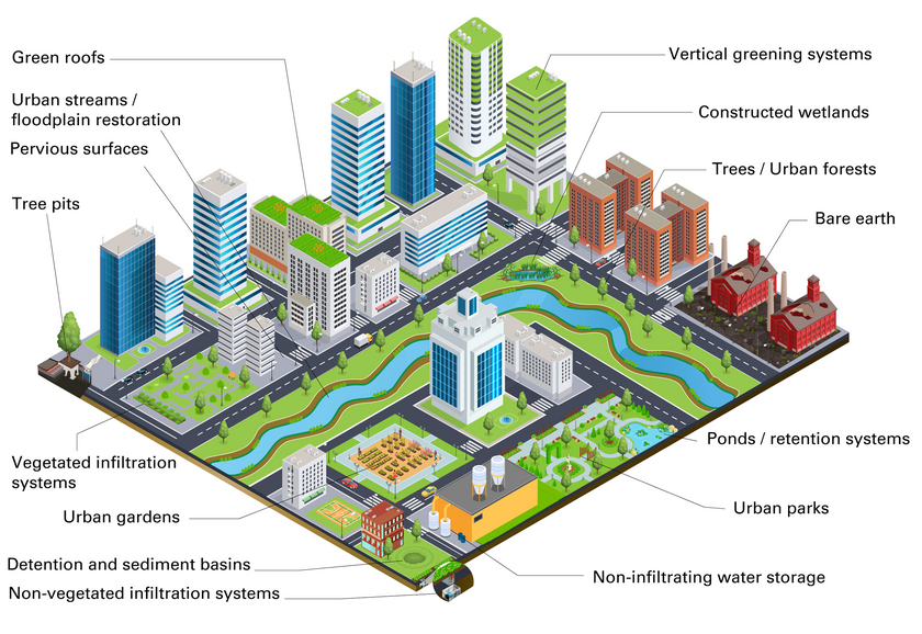 Examples of blue-green infrastructure (Graphic: Cook, Good, Moretti, Kremer, Wadzuk, Traver, and Smith (In revision) “Towards the intentional, multifunctional design of urban green infrastructure: a paradox of choice?” Nature Urban Sustainability)