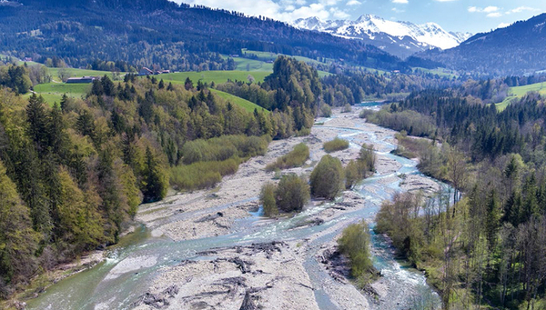 River “Sense” close to Zumholz, FR (Photo: Markus Zeh) 