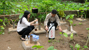 Vietnamesische Wissenschafter sammeln Grundwasserproben auf einem Feld bei Hanoi (© Eawag) 