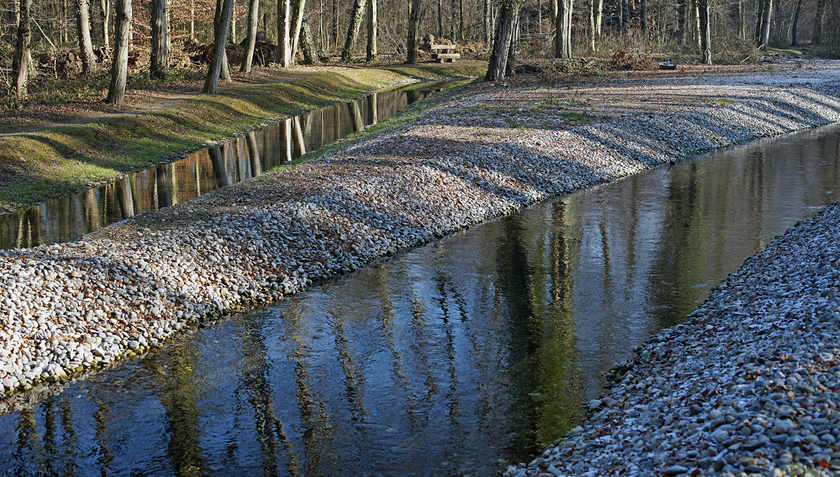 Infiltrationskanäle wie hier im Hardwald bei Muttenz (BL) sind eine Möglichkeit, um das Grundwasser anzureichern. (Foto: Hardwasser AG)