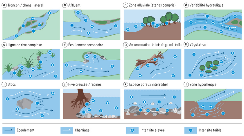Structures pouvant servir de refuges dans les cours d´eau. (Image: Rachelly et al. dans Office fédéral de l’environnement, Éditeur (2023). Milieux fluviaux – dynamique sédimentaire et connectivité. Recherche axée sur la pratique en matière d’aménagement et d’écologie des cours d’eau. Connaissance de l’environnement No 2302. Office fédéral de l’environnement (OFEV). Berne)
