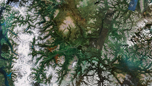 Dendritisch verzweigtes Flussnetz. (Foto: Paul Bourke/Google Earth fractals)