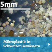 Mikroplastik in Schweizer Gewässern