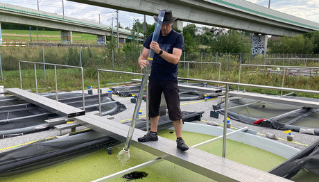 Martin Schäfer taking a water sample from one of the test ponds (Photo: Christoph Walcher, Eawag). Martin Schäfer taking a water sample from one of the test ponds (Photo: Christoph Walcher, Eawag).