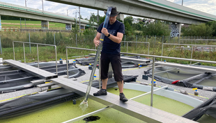 Martin Schäfer nimmt eine Wasserprobe aus einem der Versuchsteiche (Foto: Christoph Walcher, Eawag).