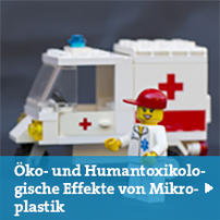 Öko- und Humantoxikologische Effekte von Mikroplastik